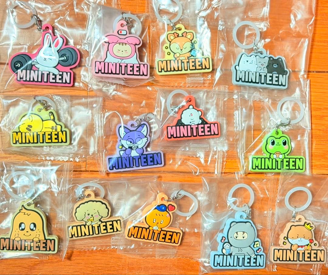 MINITEEN ぷっくりめじるしアクセサリー　全13種コンプSEVENTEEN