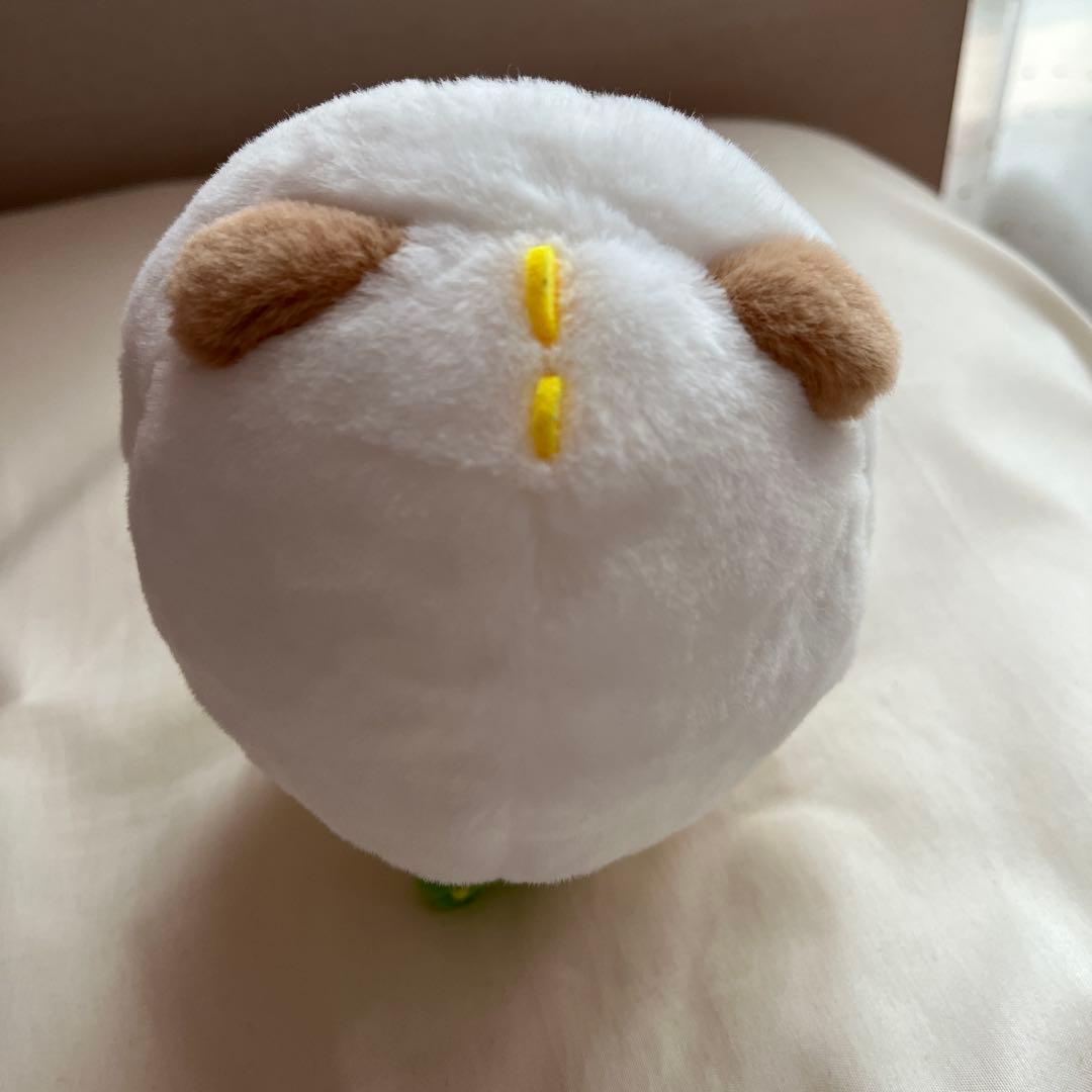 RIIZE アントン モンリョンイ ペンライトカバー