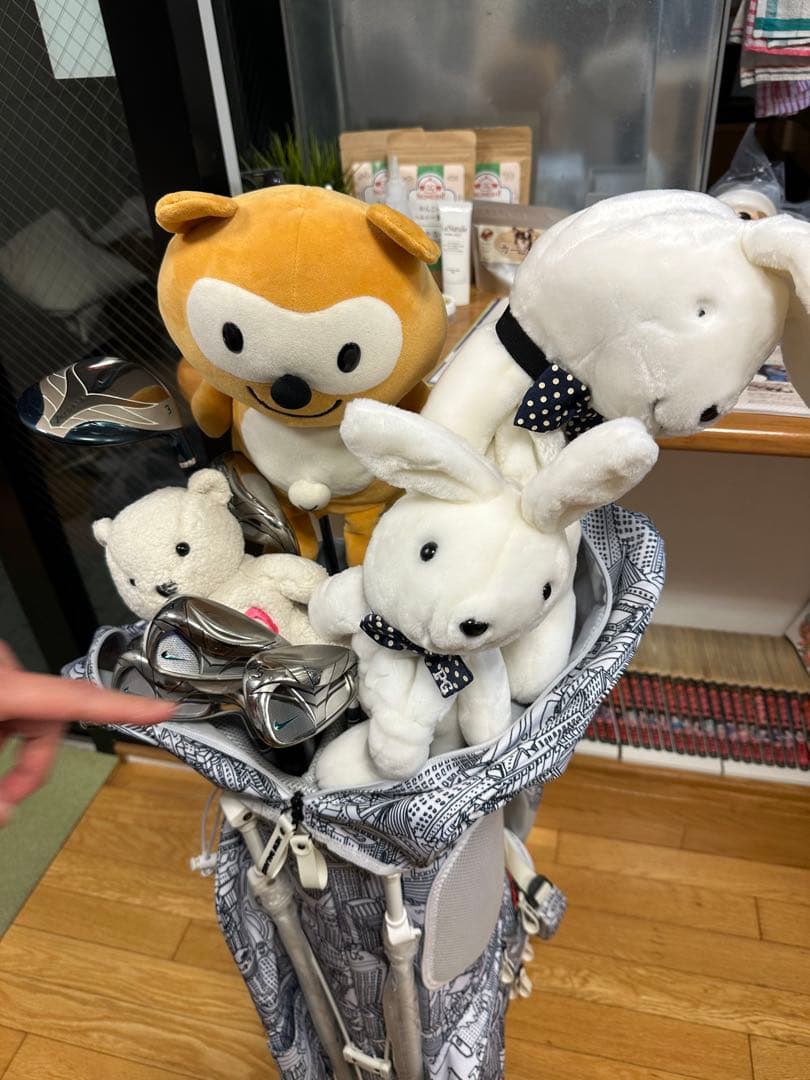 NIKE レディース ゴルフクラブセット