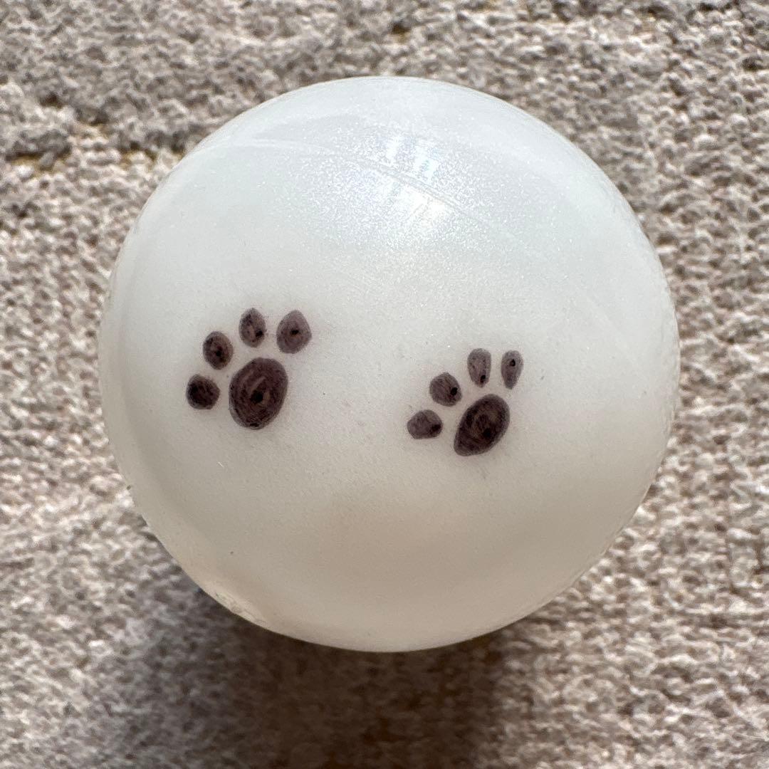 NECレッドロケッツ川崎　佐藤淑乃　直筆サイン入りボール