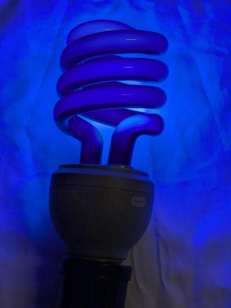 8個 JEFCOM ブラックライト EFD23-SSBK 20W　蛍光灯 8個