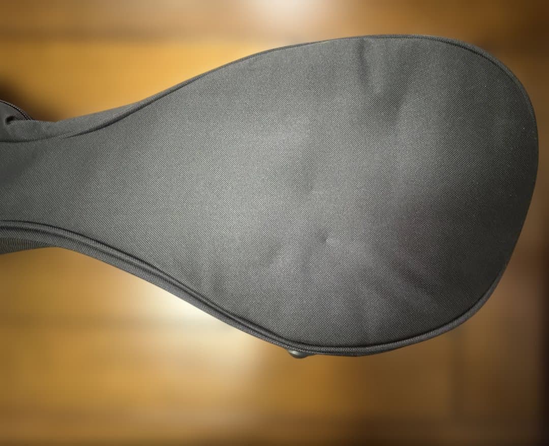 未使用 3way三味線ソフトケース 細中棹用（長唄・小唄・民謡・地唄）