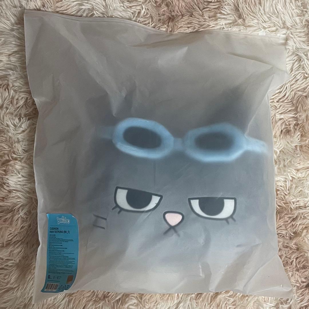 BOYNEXTDOOR プネクド クッション ハンテップン テサン