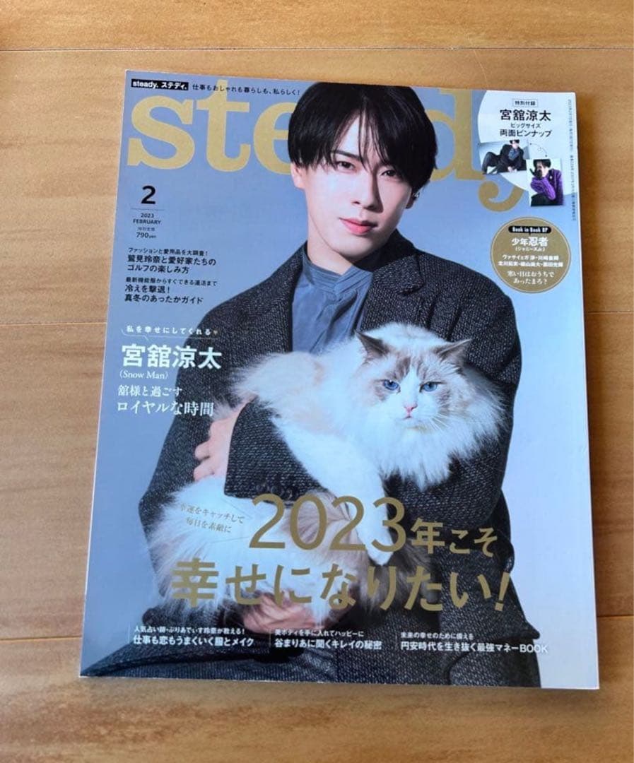 【大幅セール】 宮舘涼太渡辺翔太　雑誌まとめ売り
