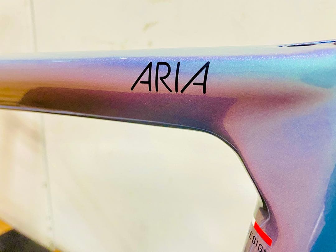 Bianchi ARIA DISC フレームセット