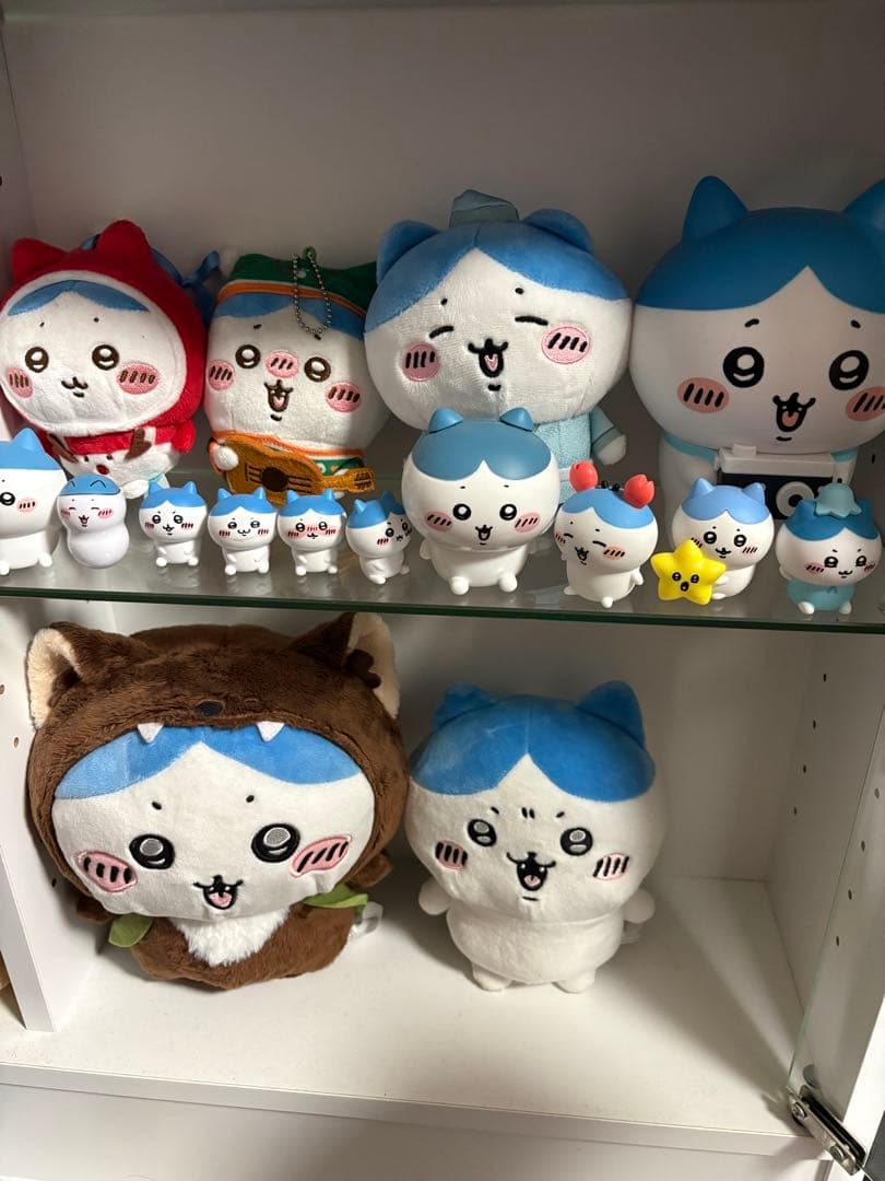 はちわれ まとめ売り