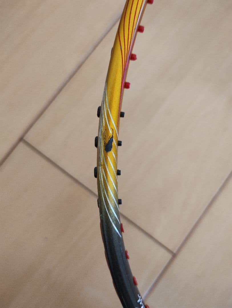 トライビスタ　デルタ　4,5の写真