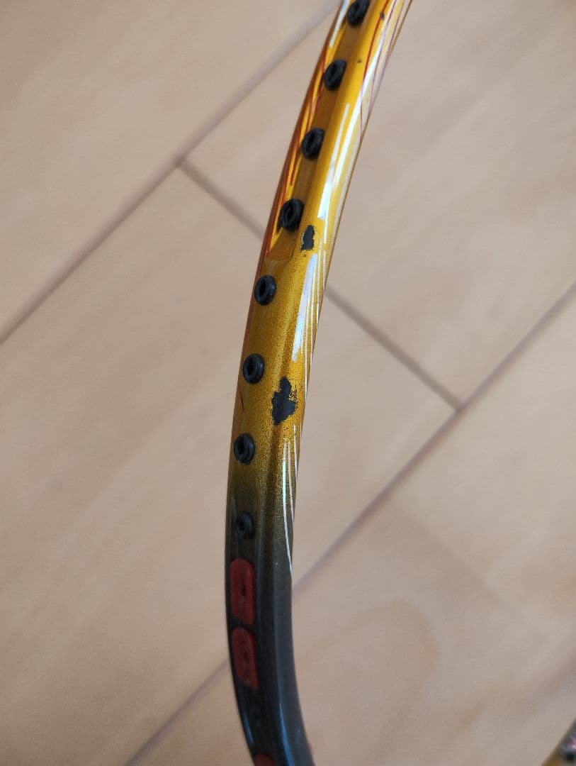 トライビスタ　デルタ　4,5の写真