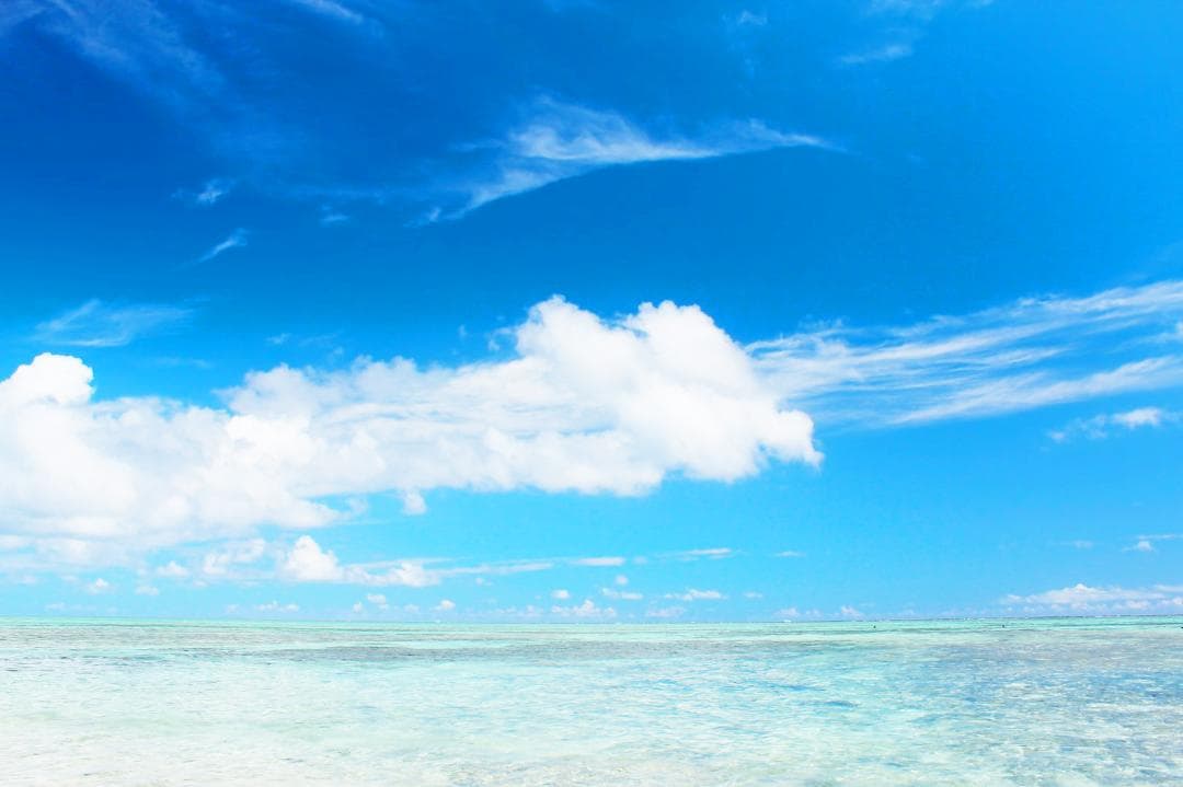 キエット さんさま専用　トリプルフック　16号　100本 ×5セット