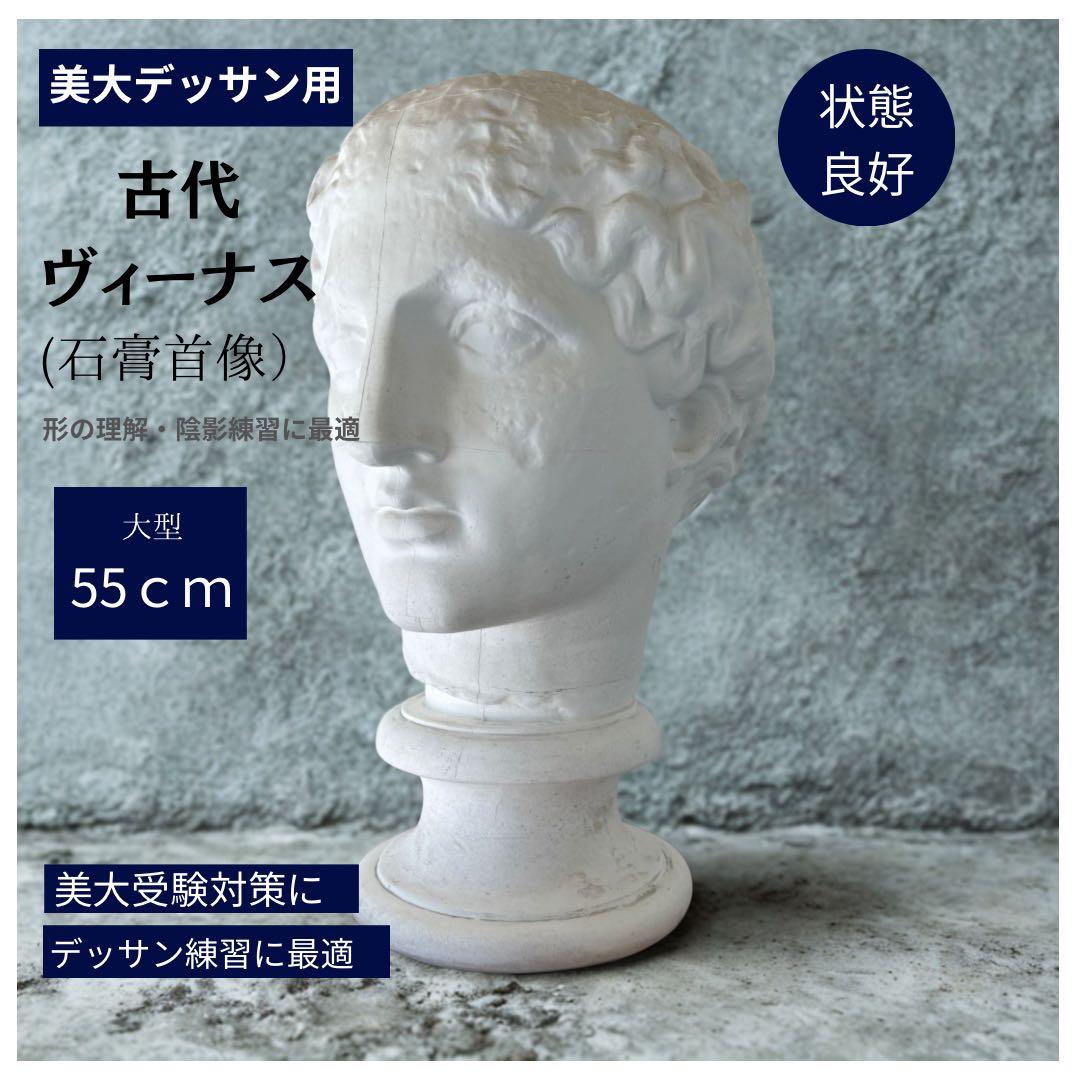古代ヴィーナス 石膏像 55cm