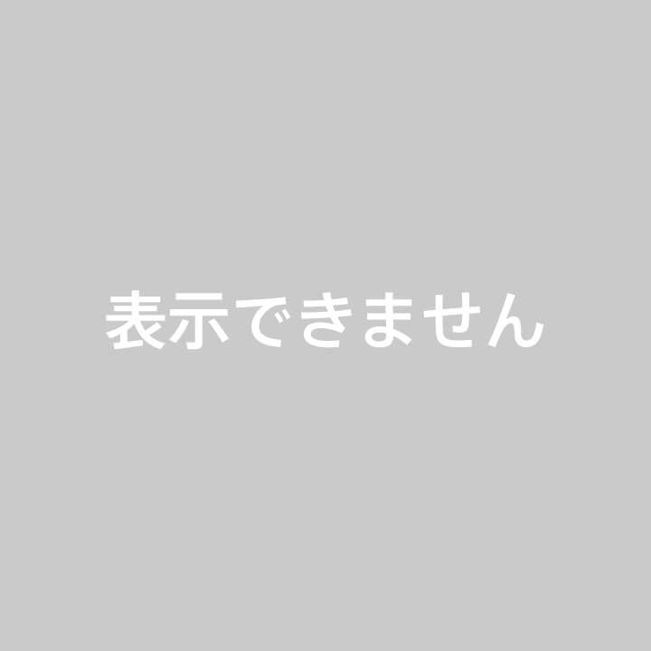 PEARLY GATES パーリーゲイツ　迷彩　カートバック　未使用品　タグ付