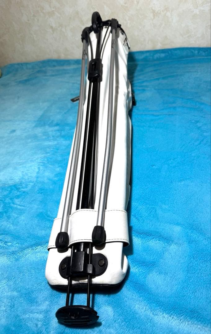 Titleist タイトリスト PUレザー セルフスタンド 日本正規品 おまけ付