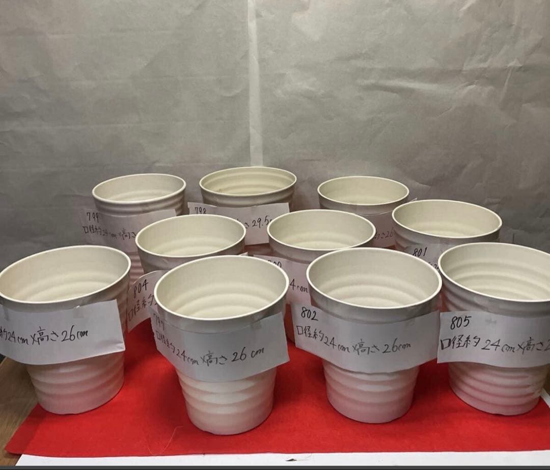 796805 胡蝶蘭が入っていた　植木鉢　プラスチック製　軽い　10個