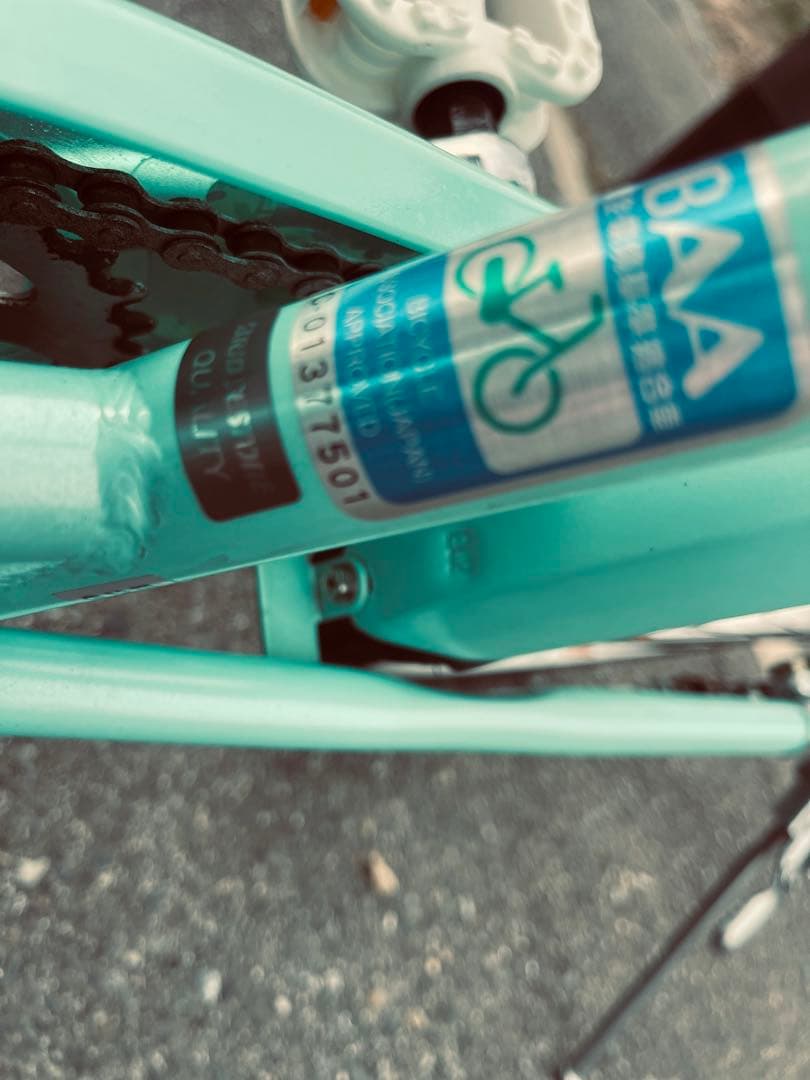 ブリヂストンの女の子向けジュニアサイクル「エコパル」22インチ（ミントカラー）