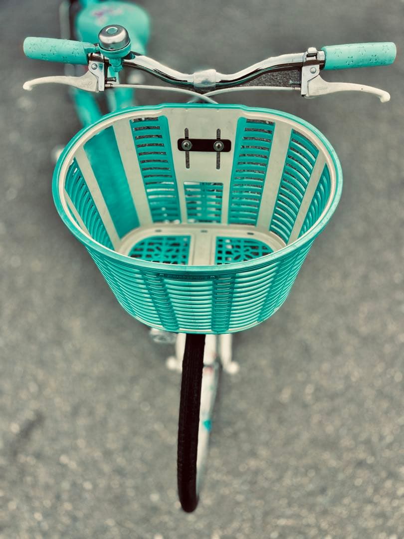 ブリヂストンの女の子向けジュニアサイクル「エコパル」22インチ（ミントカラー）