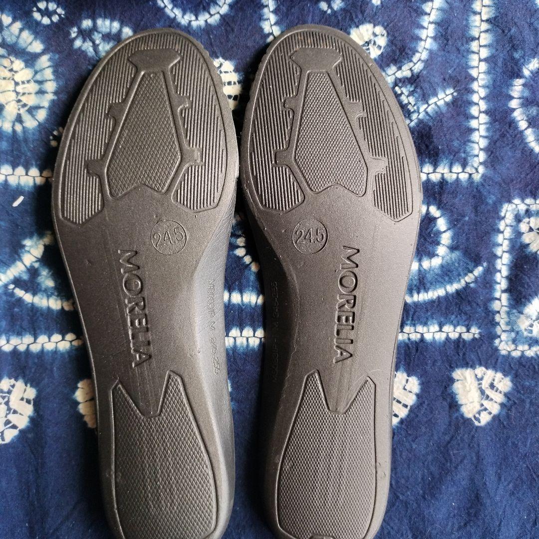 Innovation　pack モレリア2 JAPAN LTD　限定品