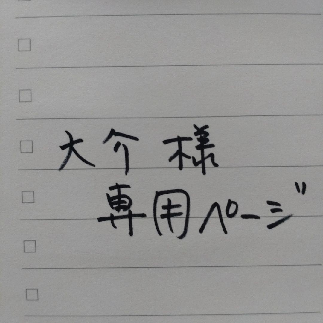 DAIWA ICV 150H リール 説明書、袋付き