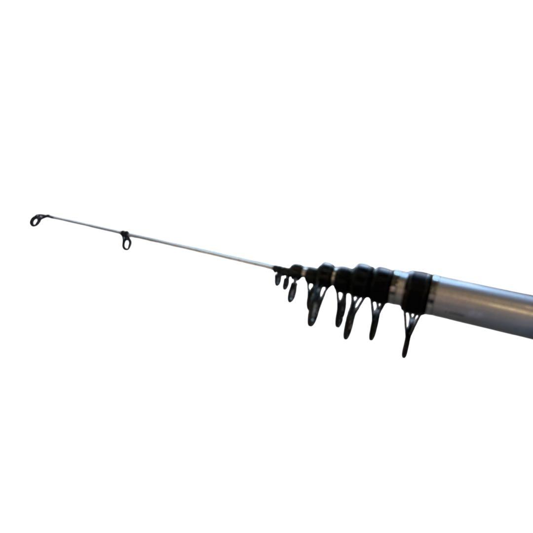 ダイワ　シデン　4-36遠投