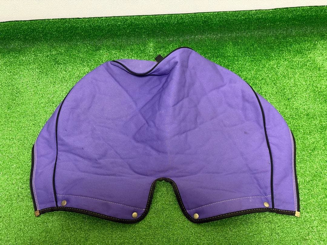 ミズノ ダンロップ 初心者 レディース ゴルフクラブセット フルセット 一式