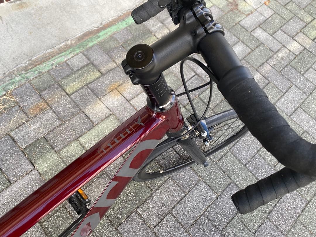 週末値下げ【美品・引き取り希望】tern surge ミニベロ プチカスタム