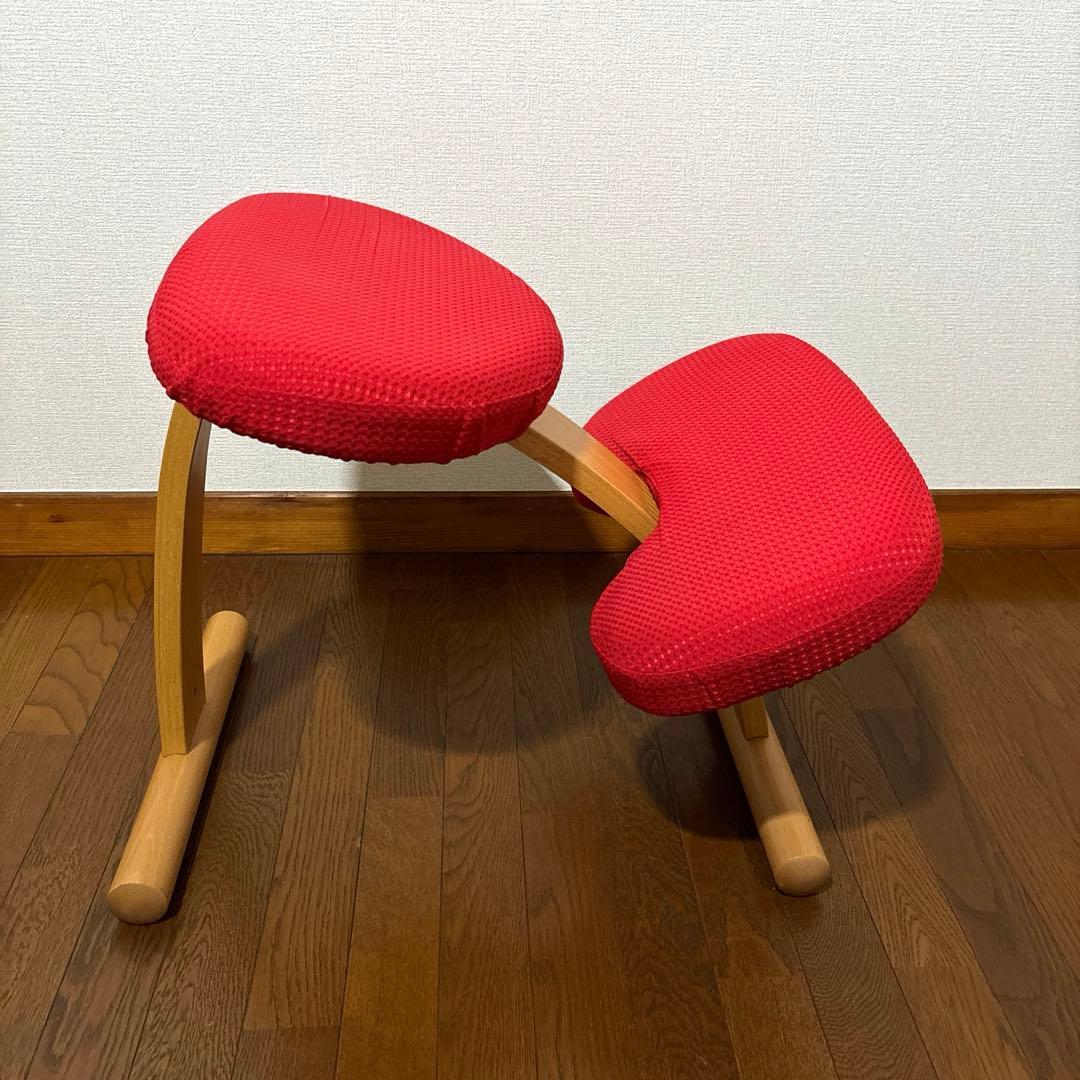 【極美品】 バランスイージー レッド 通常フレーム 防水カバー付き