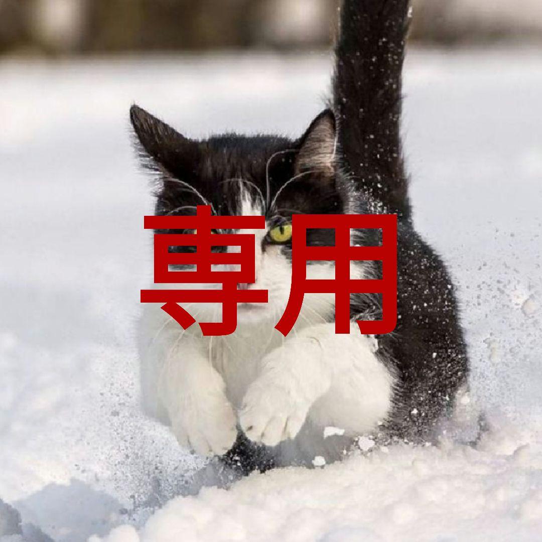 ウェア saya