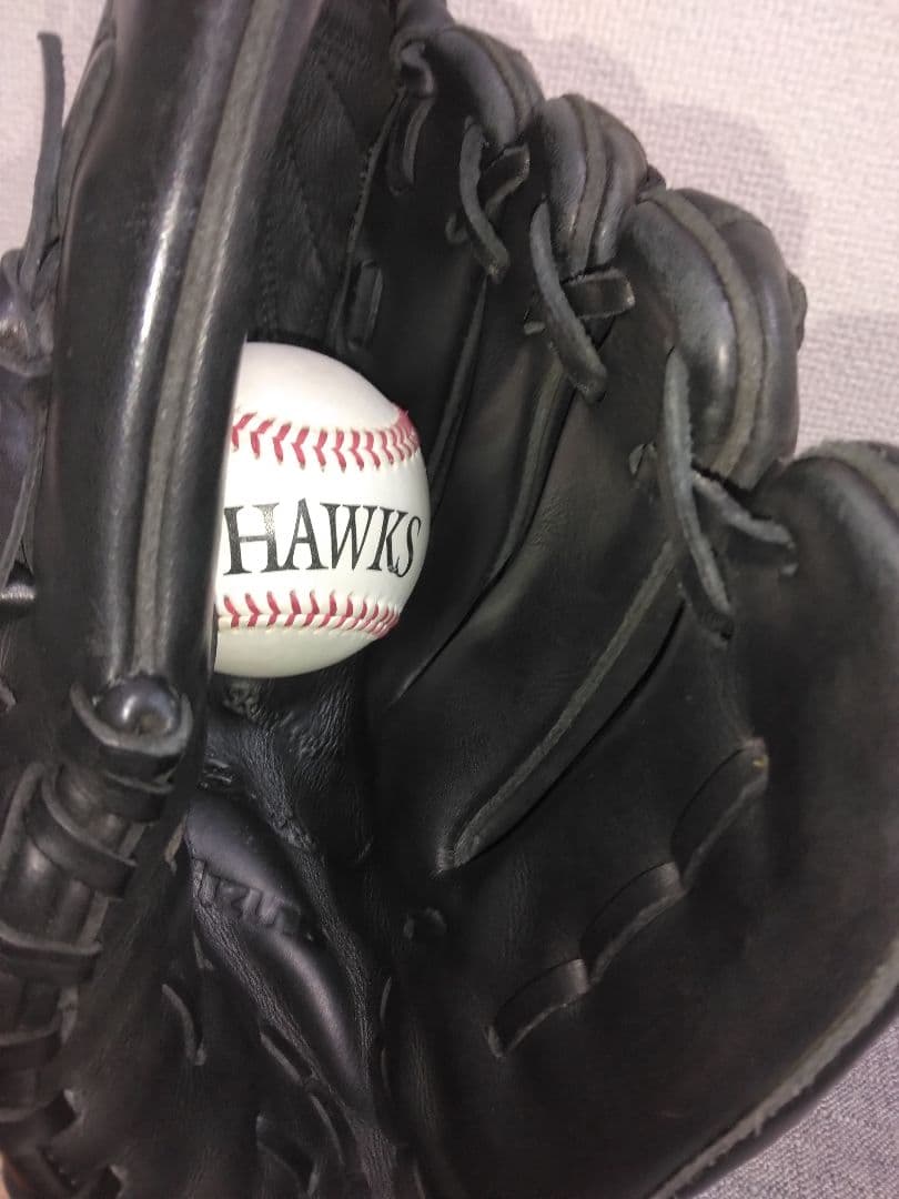 ミズノビューリーグプロフェッショナル　一般軟式ピッチャー用グローブ新垣モデル