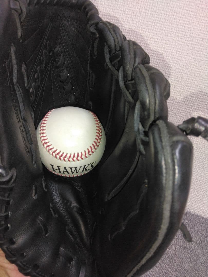 ミズノビューリーグプロフェッショナル　一般軟式ピッチャー用グローブ新垣モデル