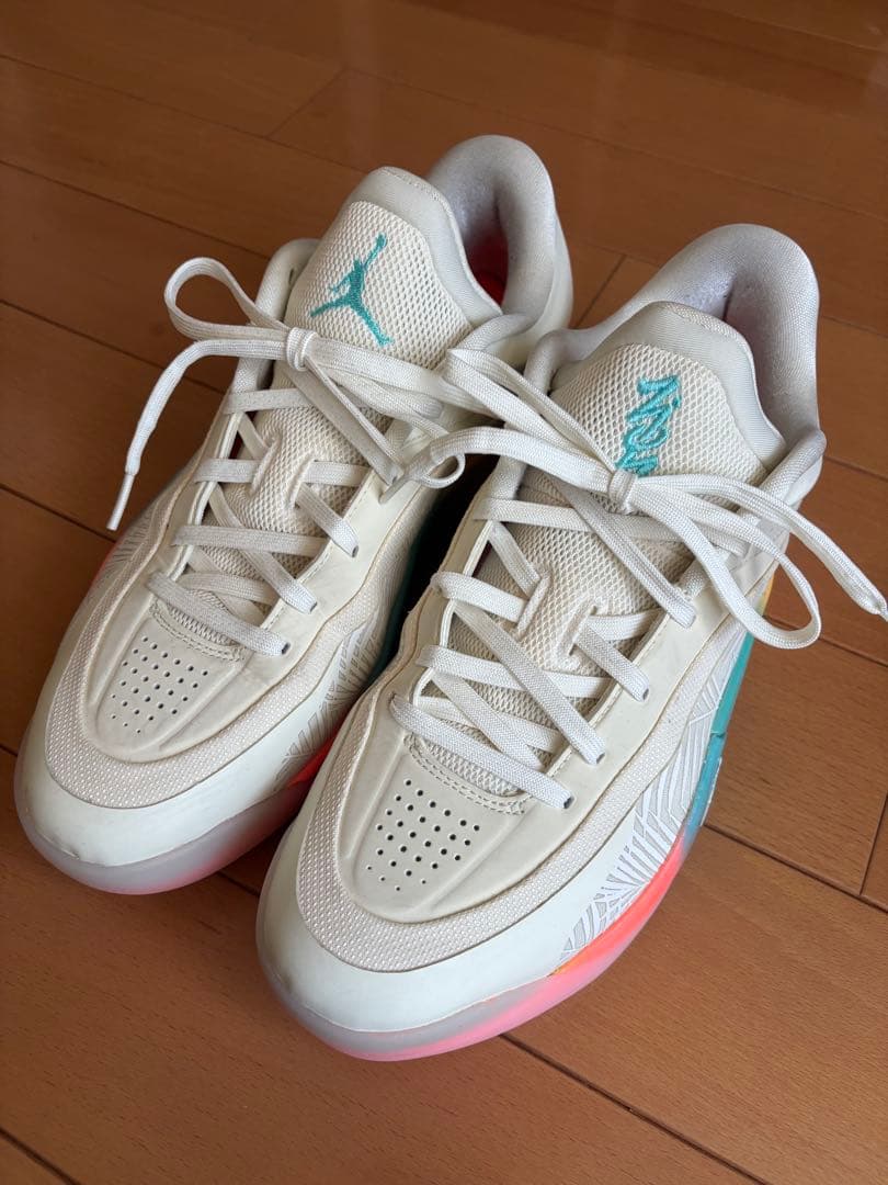 エア ジョーダン ザイオン 4 ロー カントリー29.0cm※箱無し