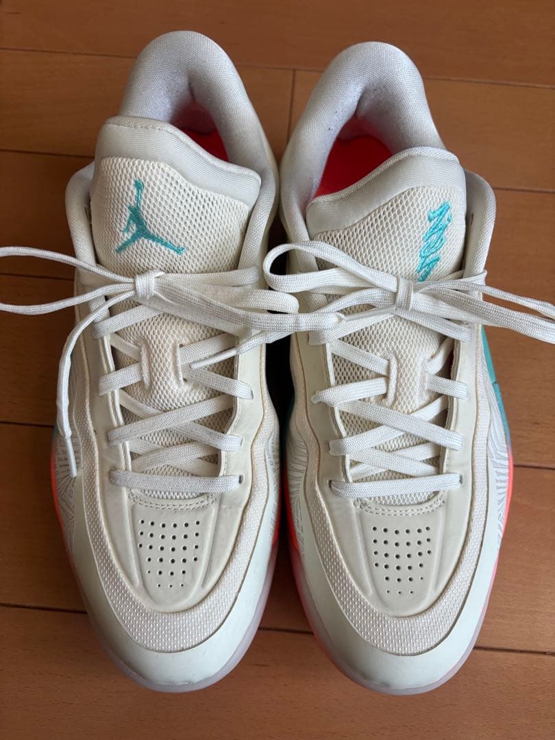 エア ジョーダン ザイオン 4 ロー カントリー29.0cm※箱無し