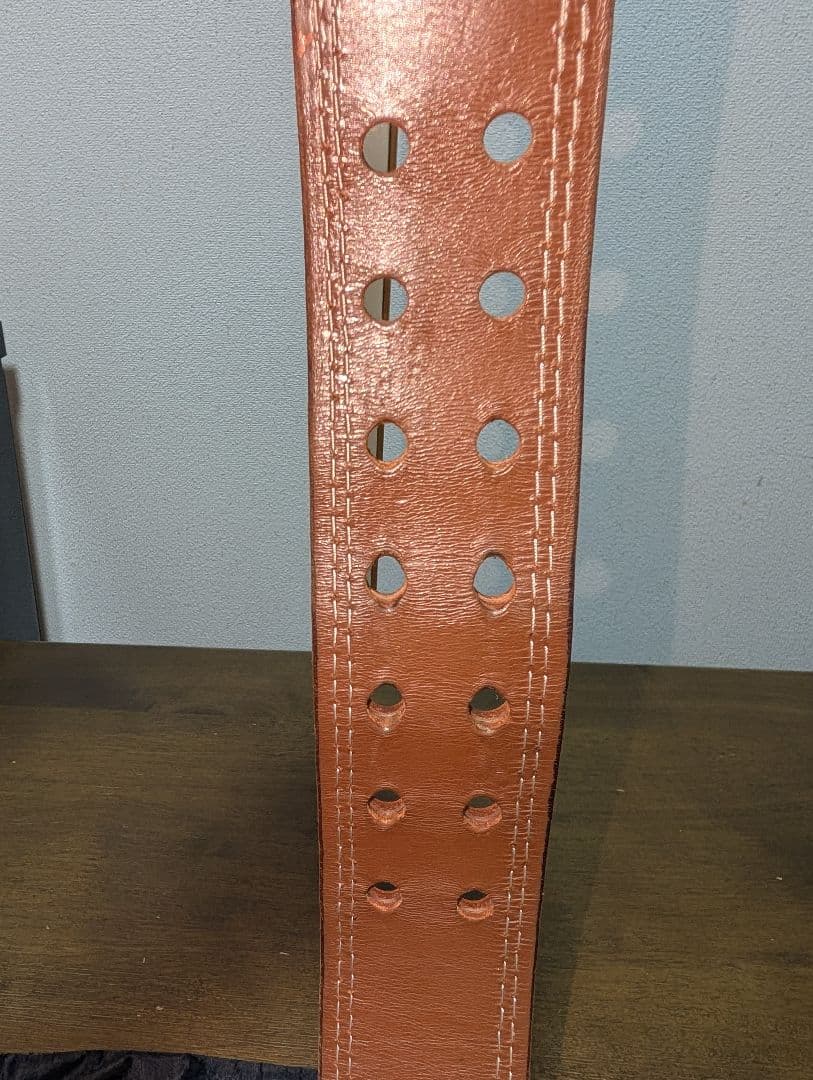 GOLD’S GYM プロレザーベルト G3324 Mサイズ ブラウン 保管袋付