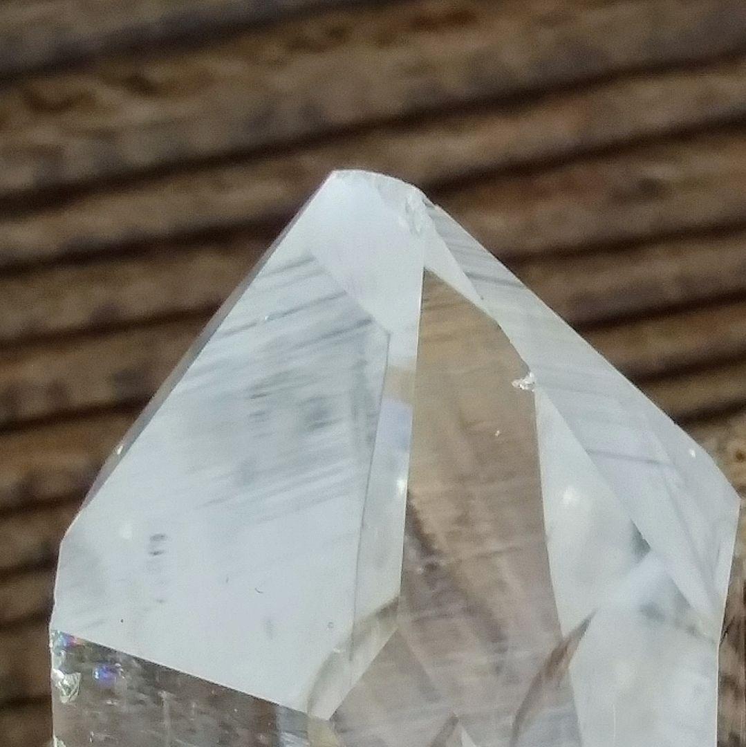 *虹入り* 希少 初期 コロンビアレムリアン イシス パストタイムリンク