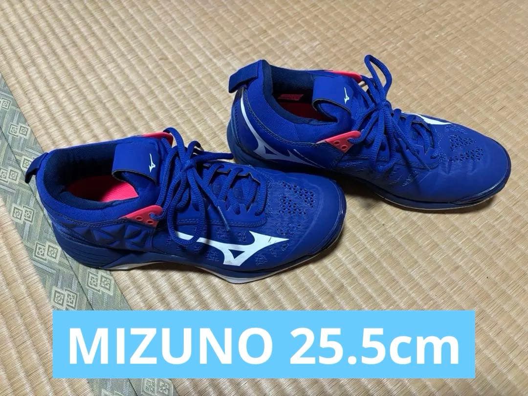 ★MIZUNOシューズ25.5cm★シューズケース付き