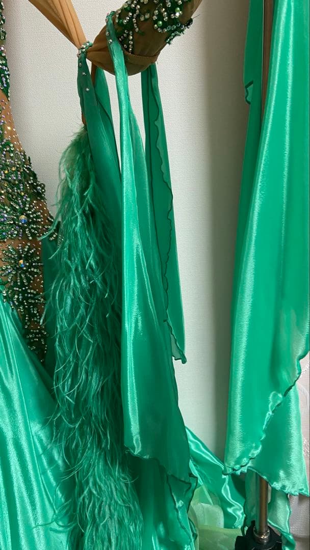 社交ダンス　スタンダードドレス　Felicia製