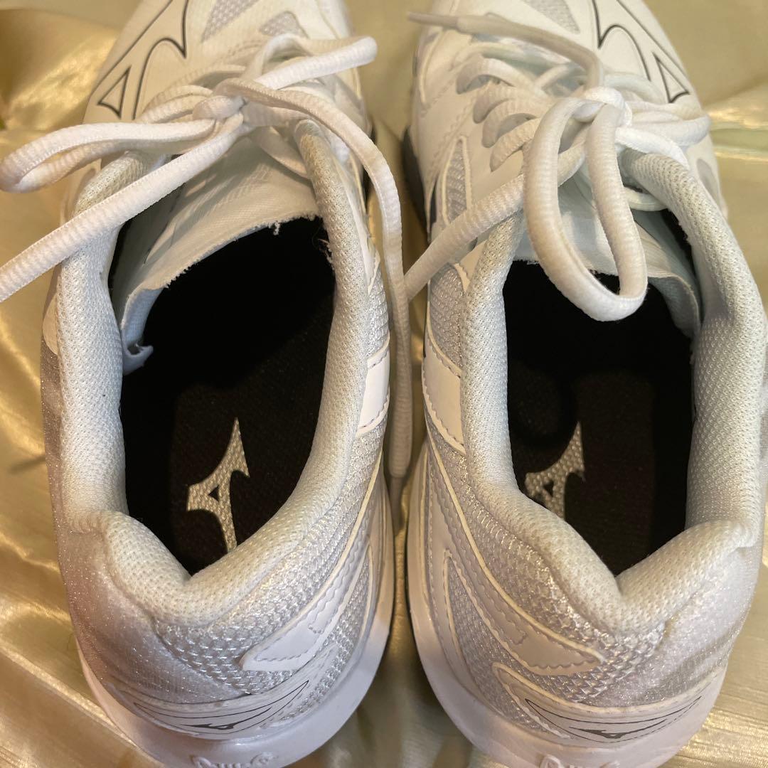 極美品MIZUNOウエーブクローEL２、２5センチ、バドミントンシューズ